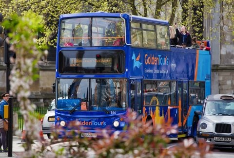 1 Day Hop-On Hop-Off London Sightseeing Bus Tour