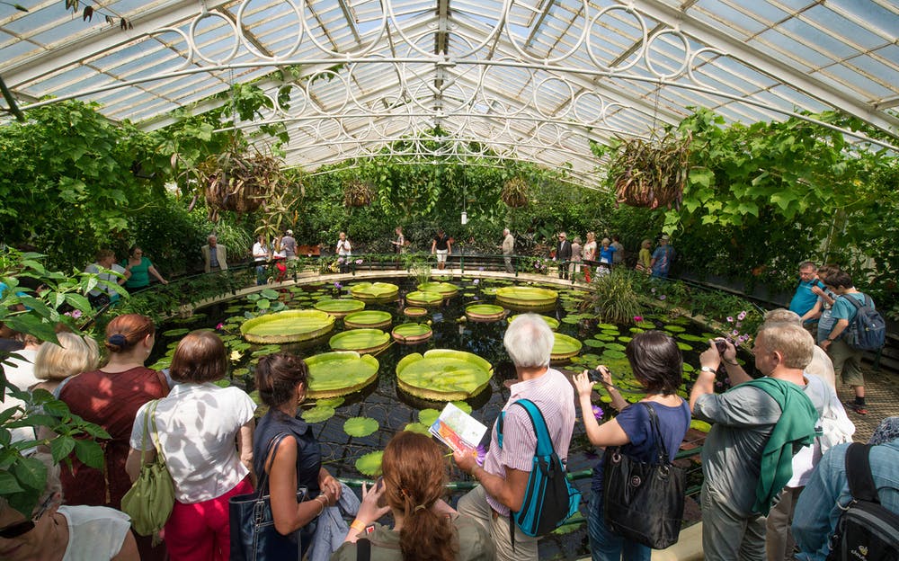 Kew Gardens Tickets - The Waterlily House at Kew Gardens